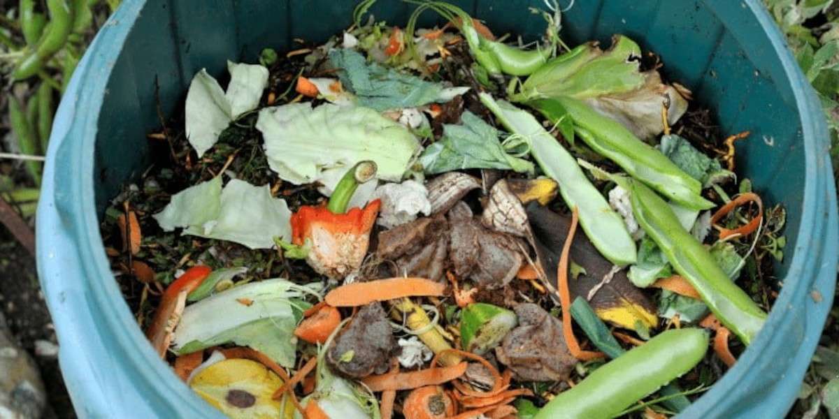 How to Make Fertilizer from Kitchen Waste?