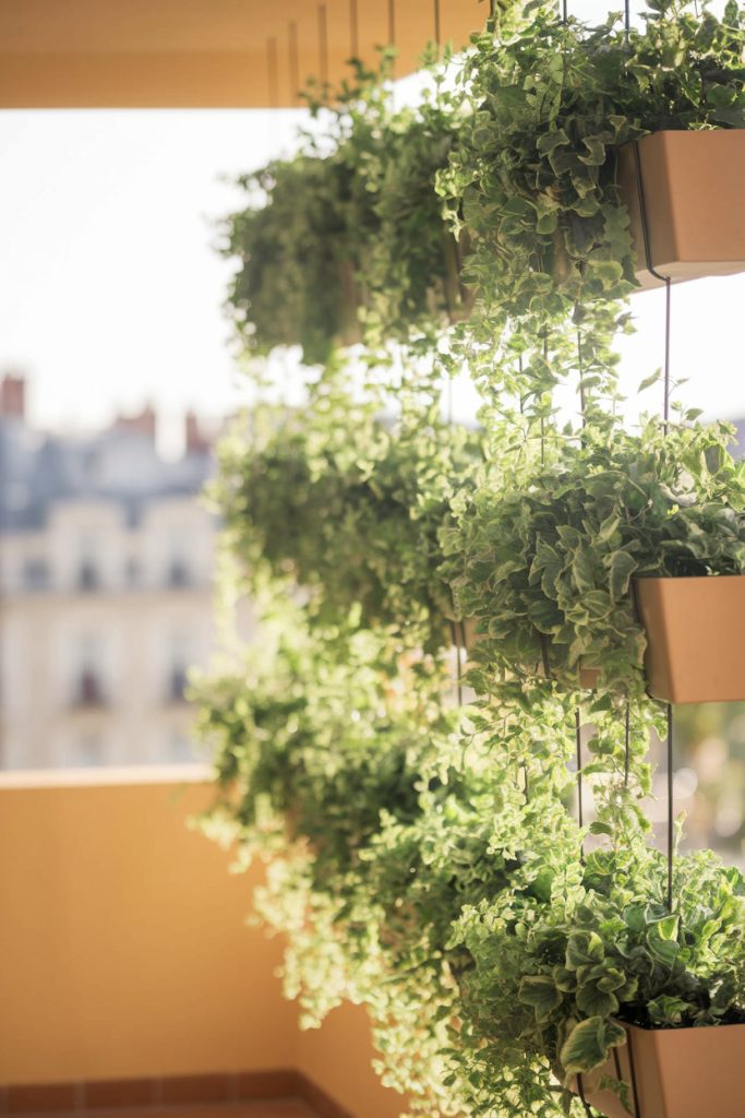 Hanging Planters